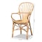 Baxton Studio Sheraton Modern and Contemporary Natural Finished Rattan Armchair 185-11871-Zoro - alternate 7